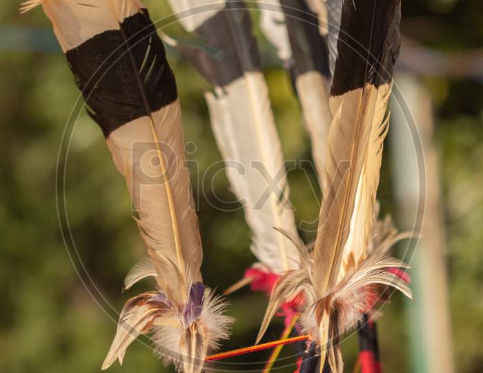 Traditional Naga head gear made of Hornbill feathers