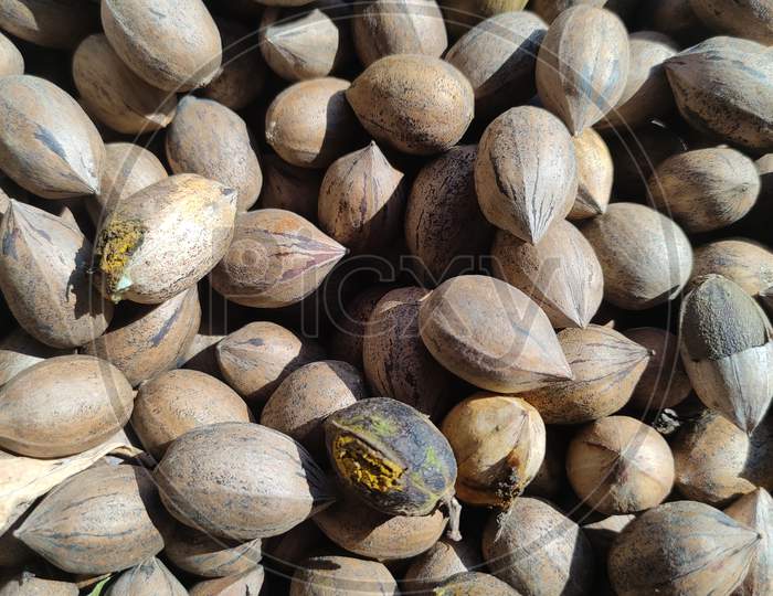 🌰 nuts