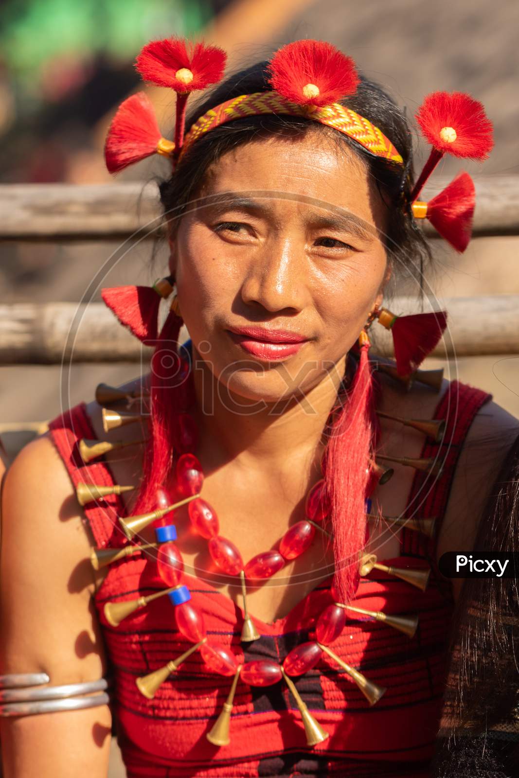 Portrait of a beautiful tribal Naga women