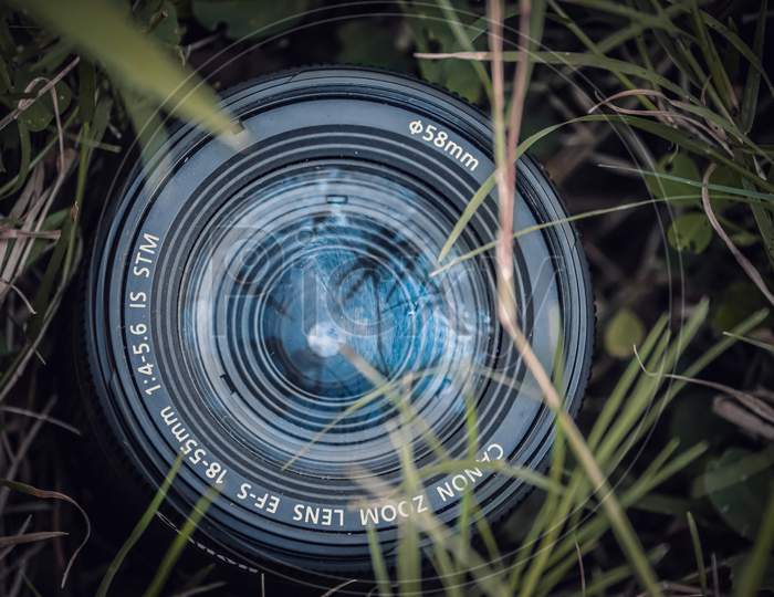 Camera lens on grass