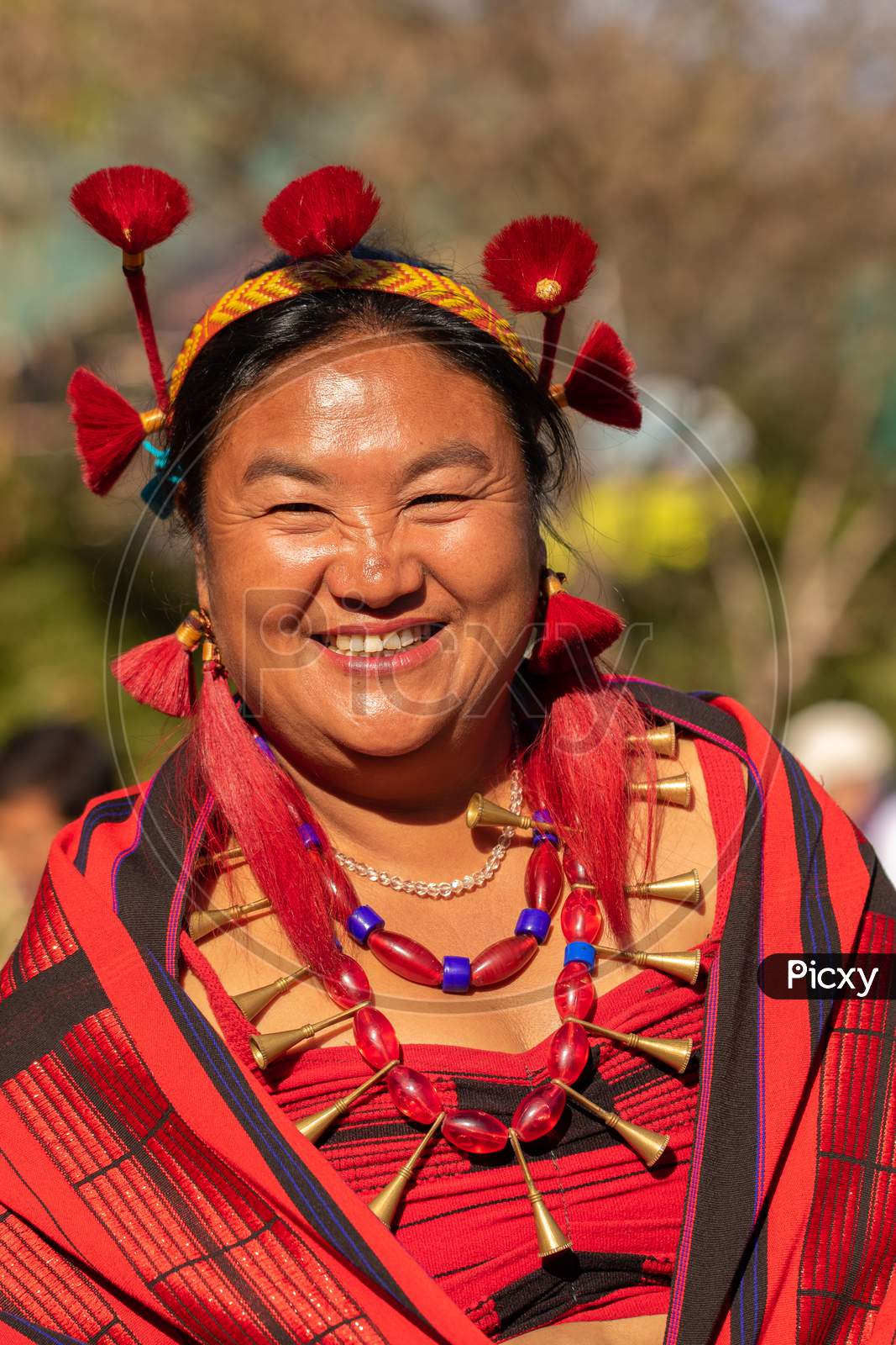 Portrait of a beautiful tribal Naga women