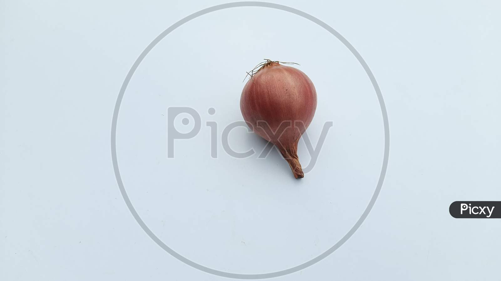 A Onion image in white Background, Onion image,Selective Focus