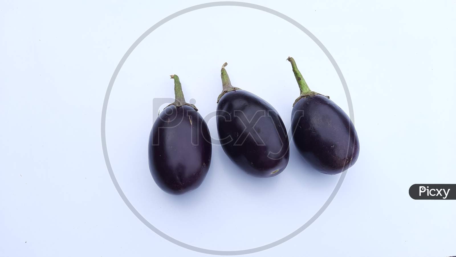 Black Eggplant image in white Background, three Eggplant image, Background Blur