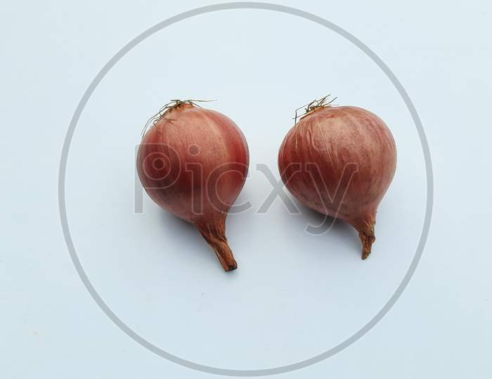 Two Onions image in white Background, Onions image,Selective Focus