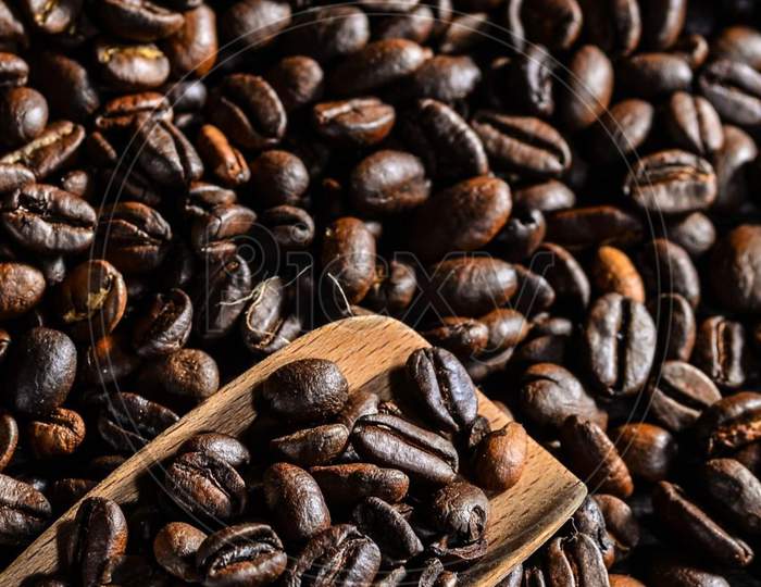 coffee bean portrait