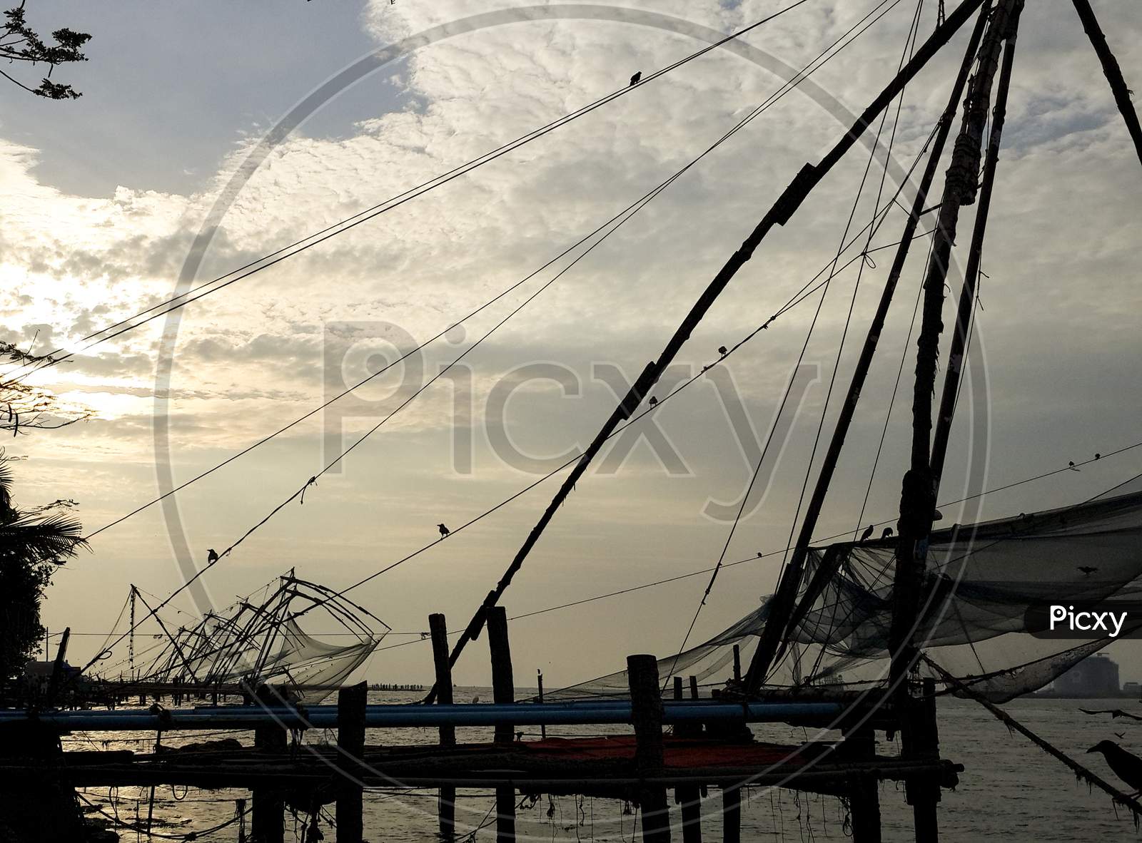 Evening view of Fishing nets at Kochi