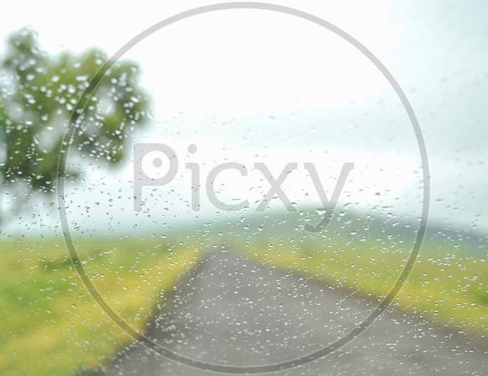 raindrops focused pic with blurred flower valley in the background