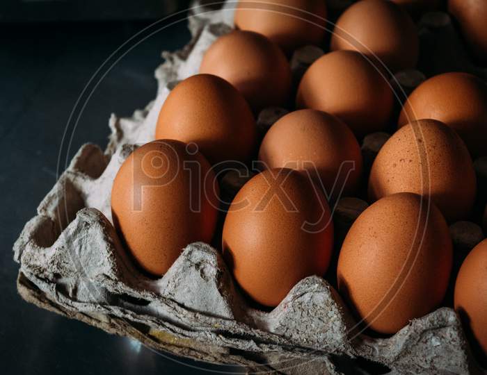 Closeup view of eggs in paper tray