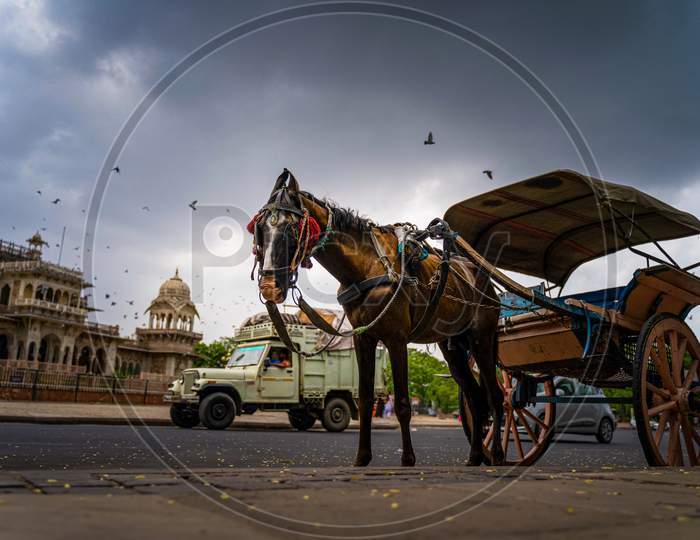 HORSE CLICK IN MOODY WEATHER
