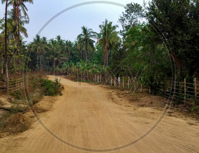 Dusty Road Of The Village Situated In The Jungle