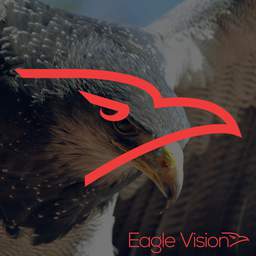 Profile picture of Eagle Vision on picxy