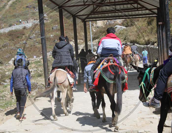Devotees go to the temple sitting on a horse.