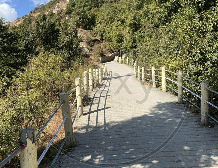 A nature walk trail