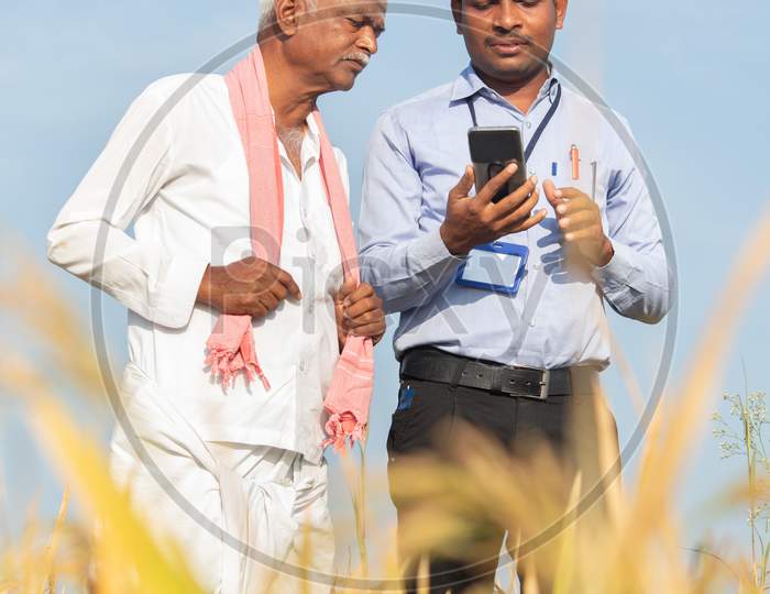 Farmer And Banker Or Corporate Government Officer Discussing By Looking Into Mobile Phone About Crop Yield, Credit And Loan Subsidy At Agriculture Farmland During Hot Sunny Day.