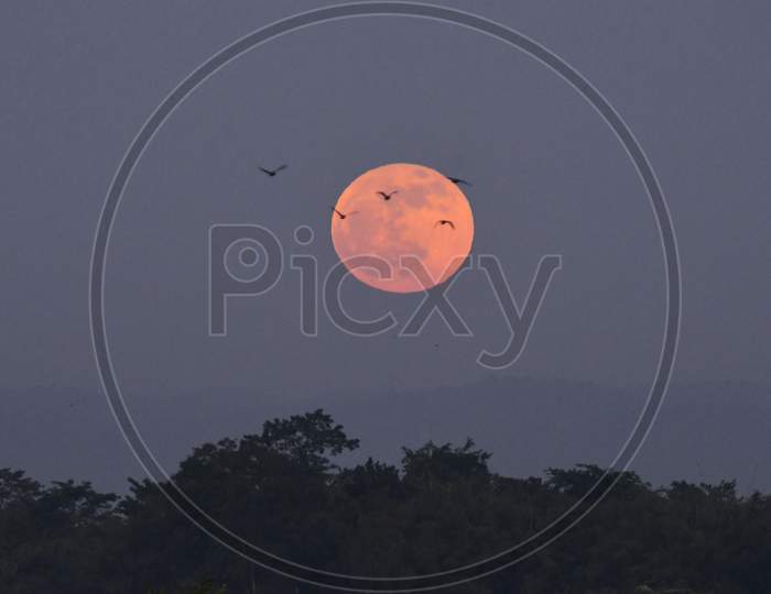 Bird passes near the Full Moon on the auspicious day of Kartik Purnima (full moon day)in Nagaon District of Assam on Nov 30,2020.