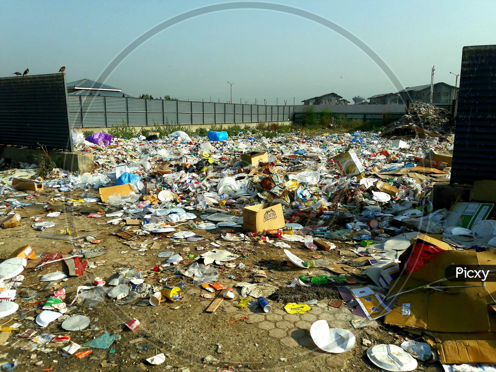 Pollution Garbage Causes Huge Damage To The Humanity