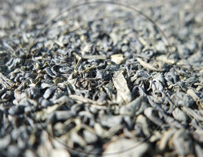 Close-Up View Of Green Tea Dried Leaves Or Stevia Rebaudiana