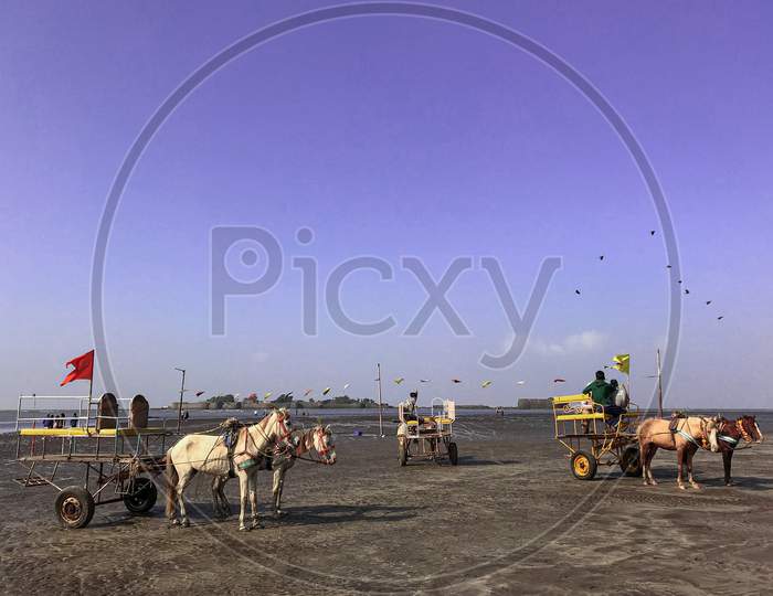 Horse cart at Alibag beach.