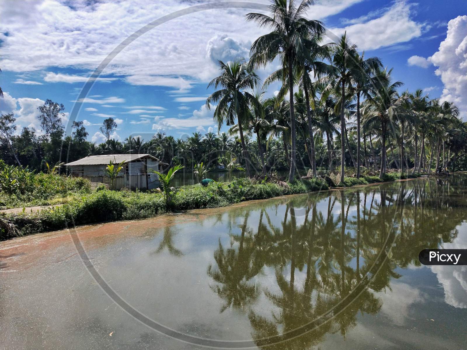 reflection of coconut trees on water, hut