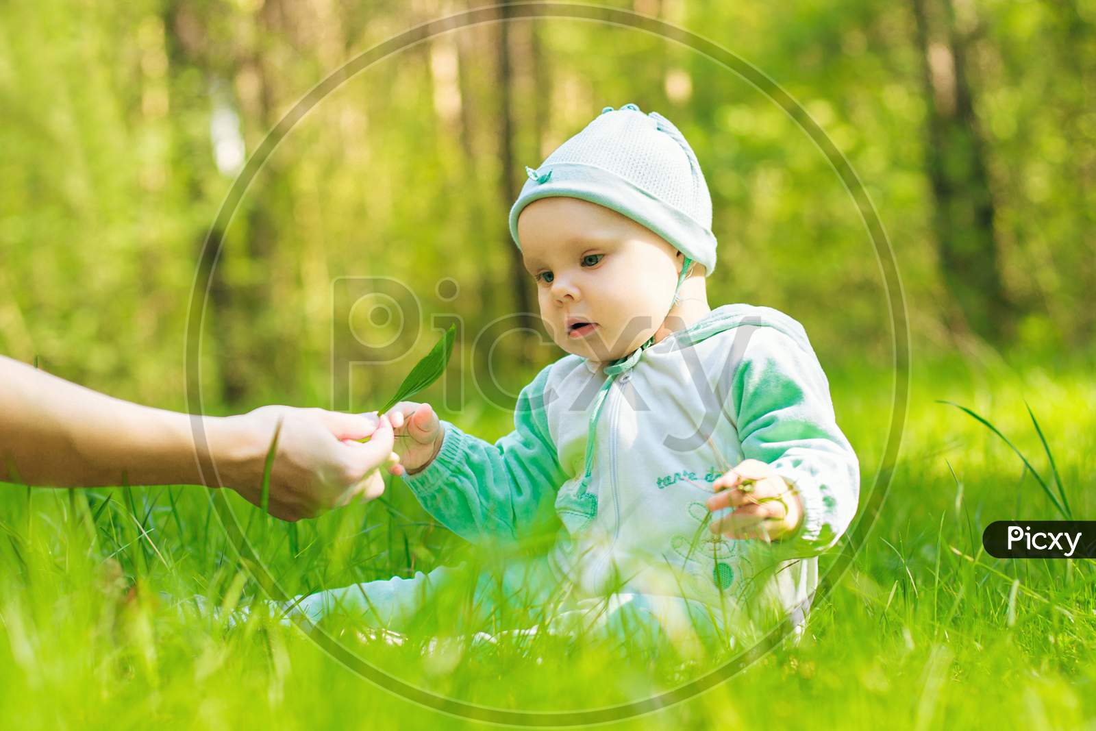 Baby In The Park Takes In Hand