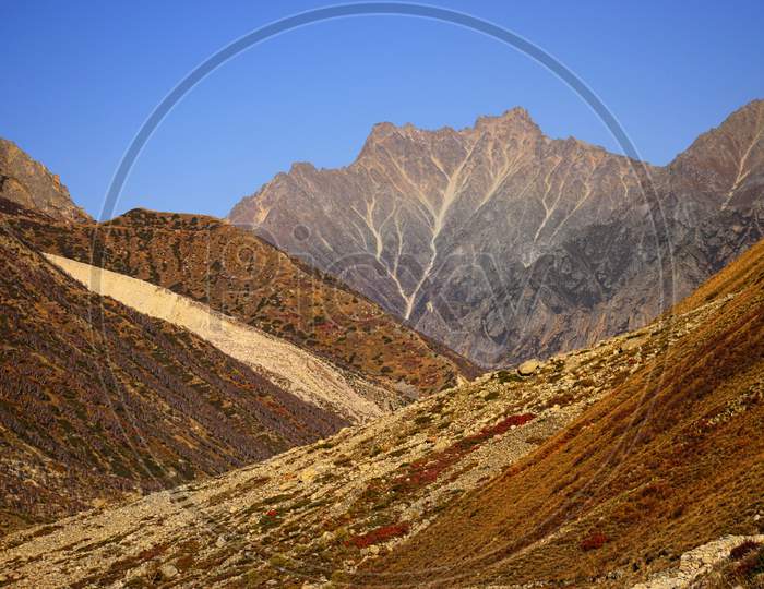 Beautiful landscape of gangotri national park