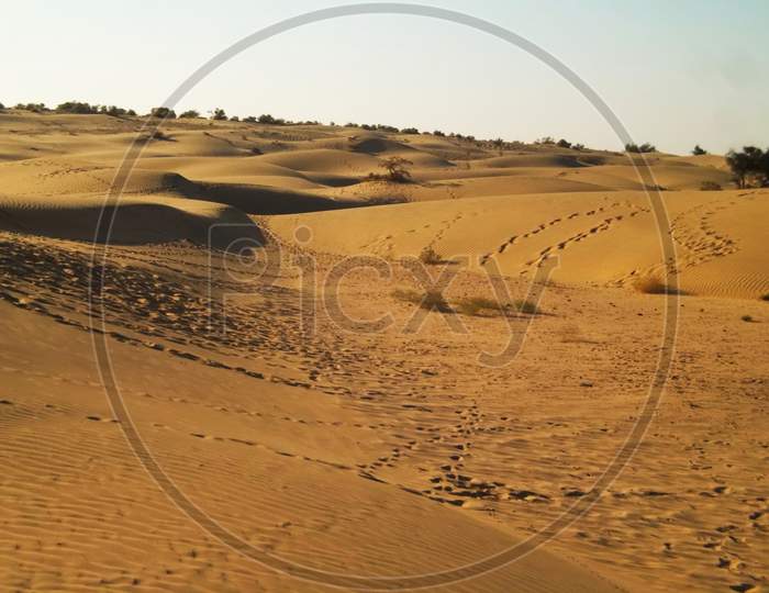 sand dunes at jaisalmer.