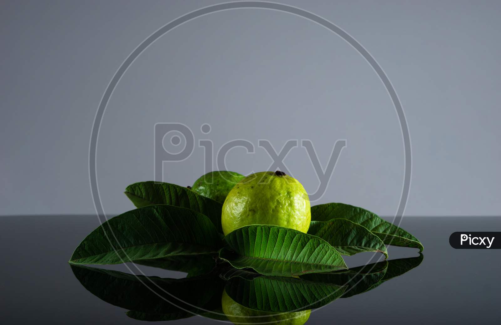Guava Fruit And Its Leaves On A Black And White Background