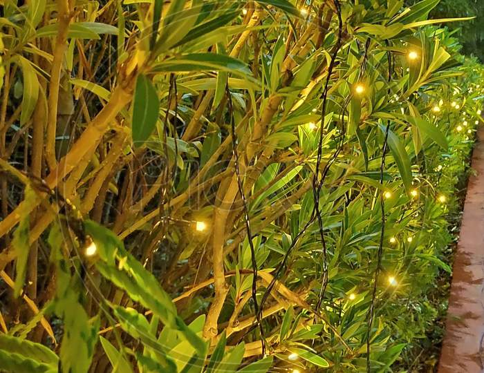Decorative lights in the leaves of the plants