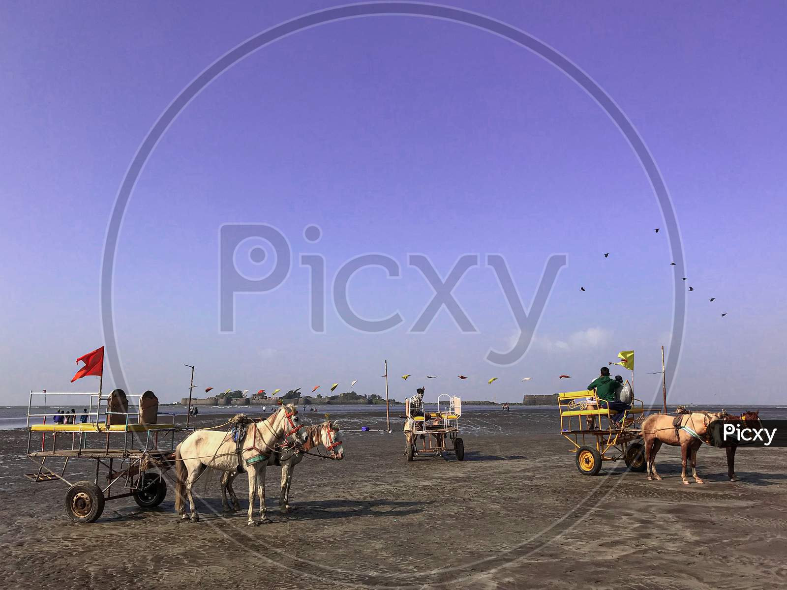 Horse cart at Alibag beach.