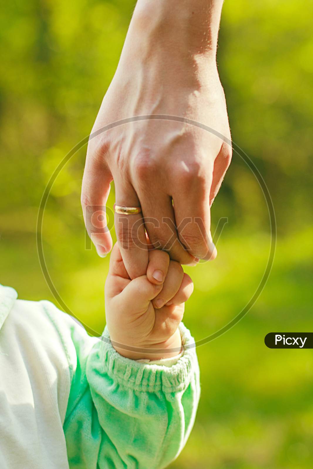 Hand Baby Holds A Finger Mom