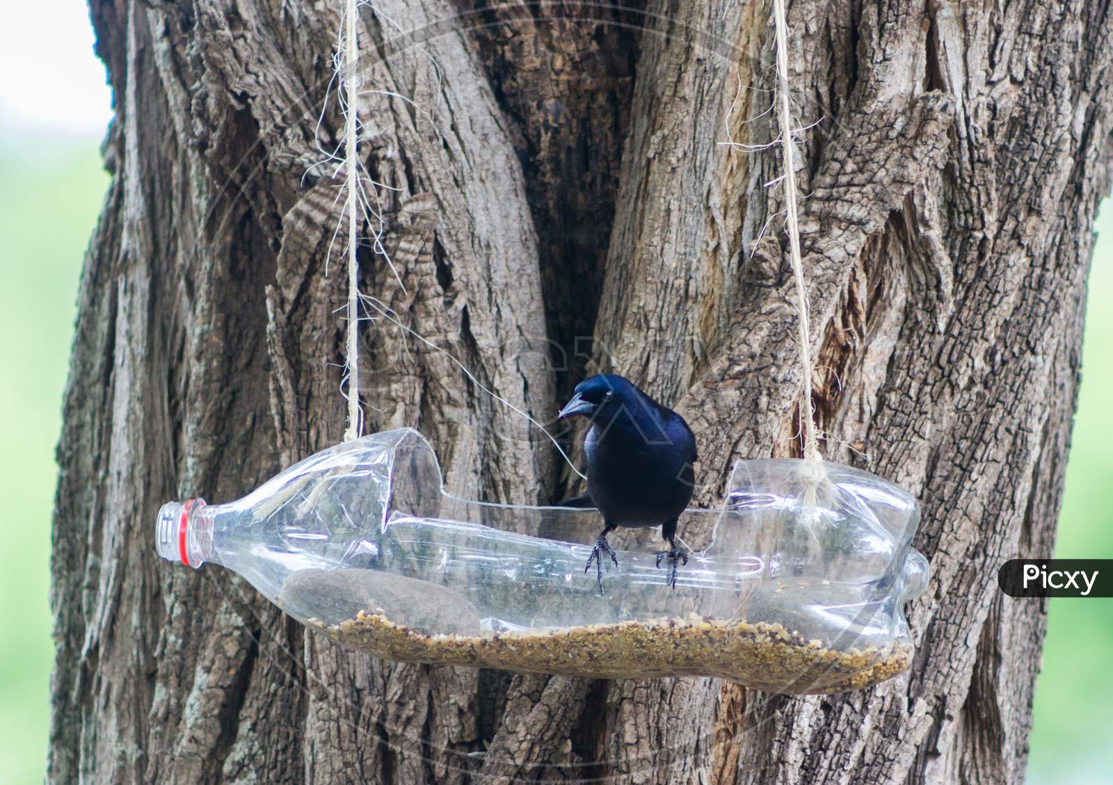 Handcrafted Bird Feeders And Waterers Made With Recycled Plastic Bottles