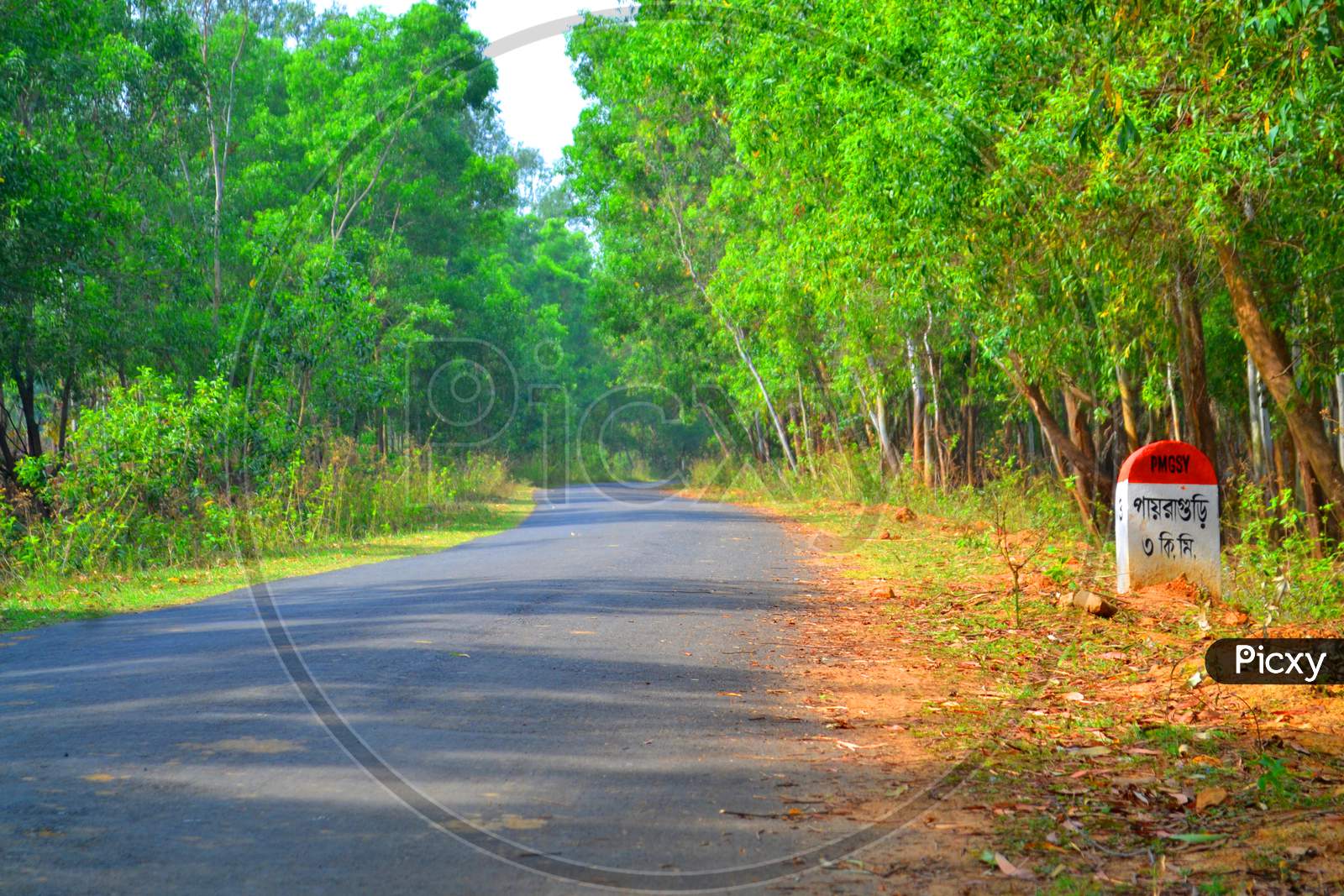 Village Road along Jungle Mahal