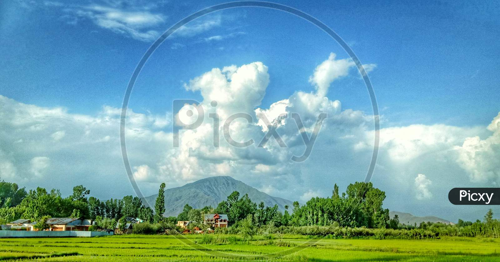 Landscape Kashmir