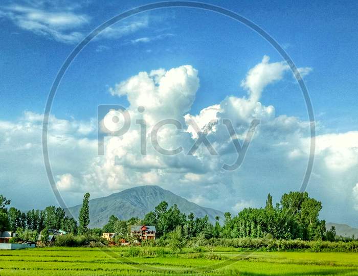 Landscape Kashmir
