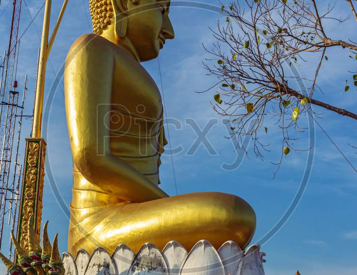 Tiger Buddhist Decorative Huge Gold Buddha