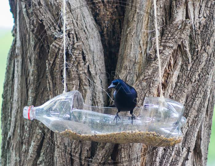 Handcrafted Bird Feeders And Waterers Made With Recycled Plastic Bottles