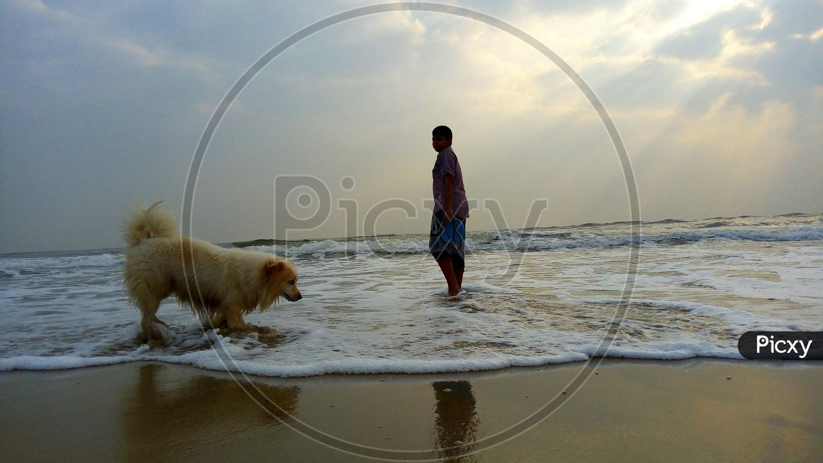 A boy with his pet dog playing near beach in the morning