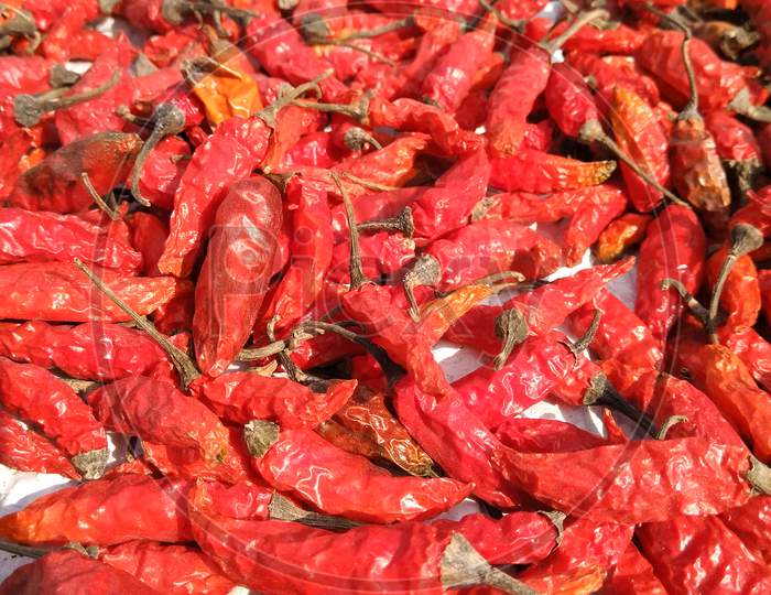 Fresh Dry Red Chilies With Blur Background