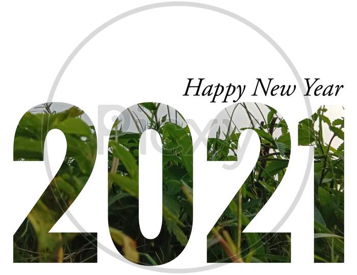 Happy New Year 2021 text on white background, nature digital illustration.