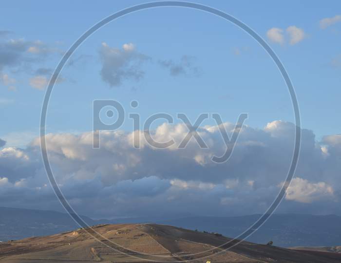 cloudy day in field in countryside of algeria with lonely tree  2020