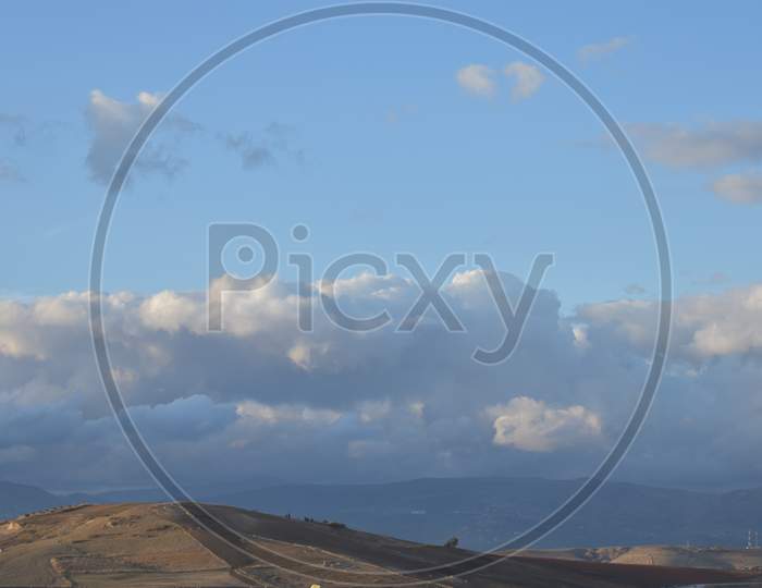 cloudy day in field in countryside of algeria with lonely tree  2020