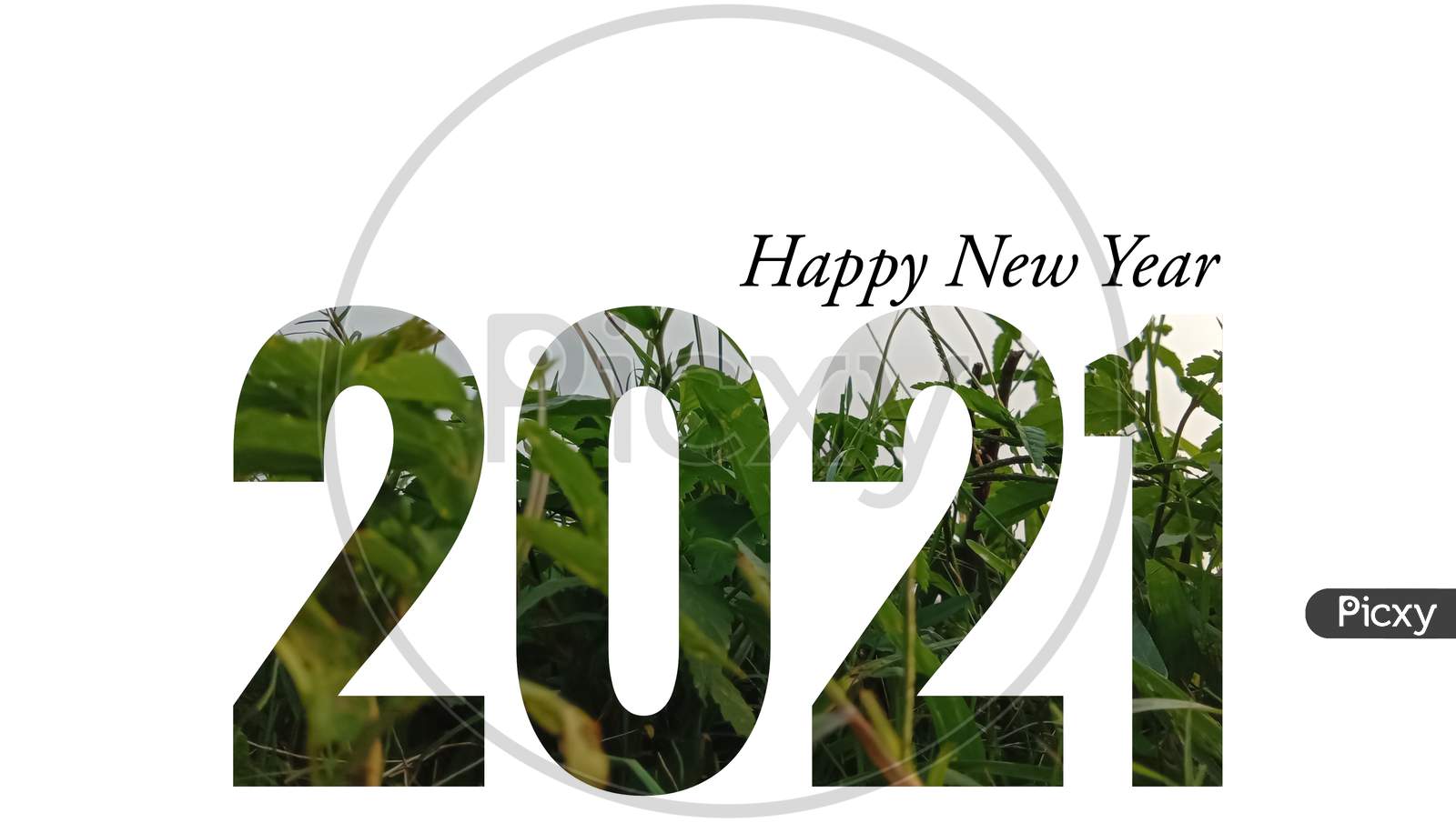 Happy New Year 2021 text on white background, nature digital illustration.