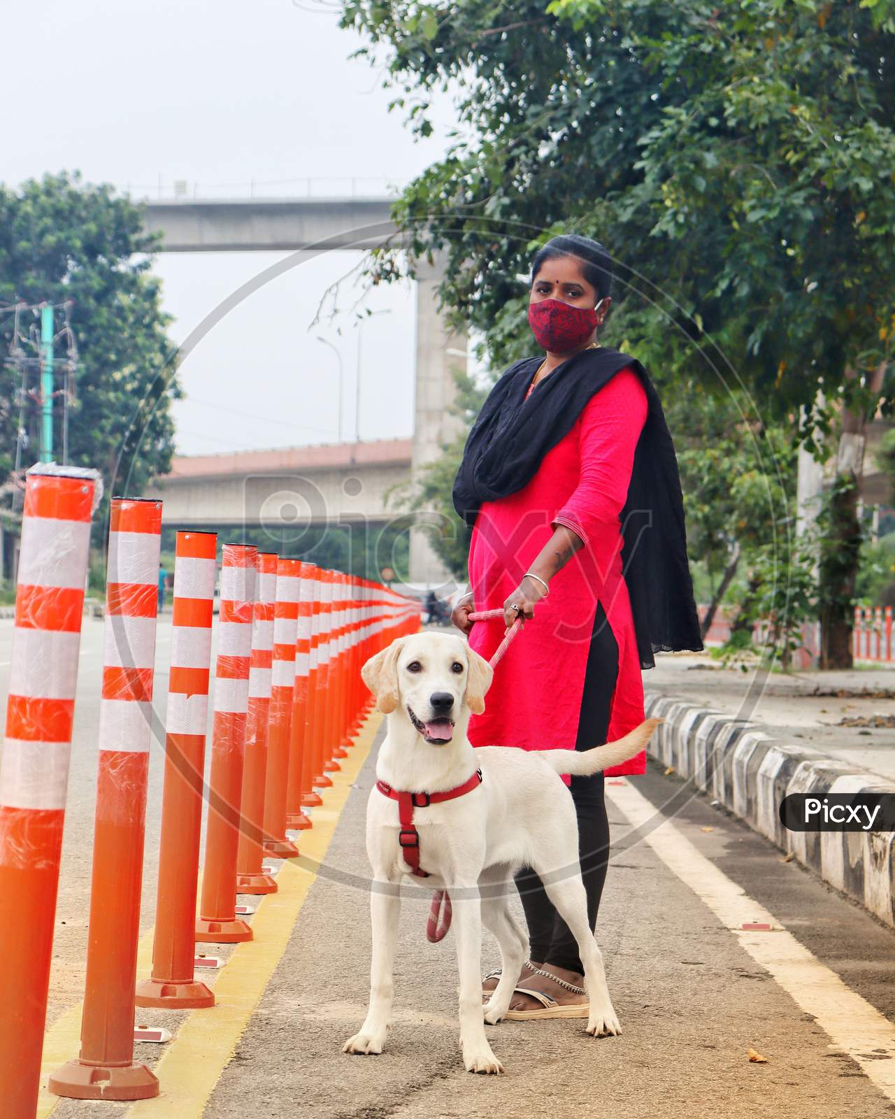 Lady walking a dog
