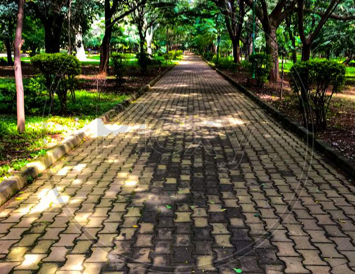 Bangalore park background