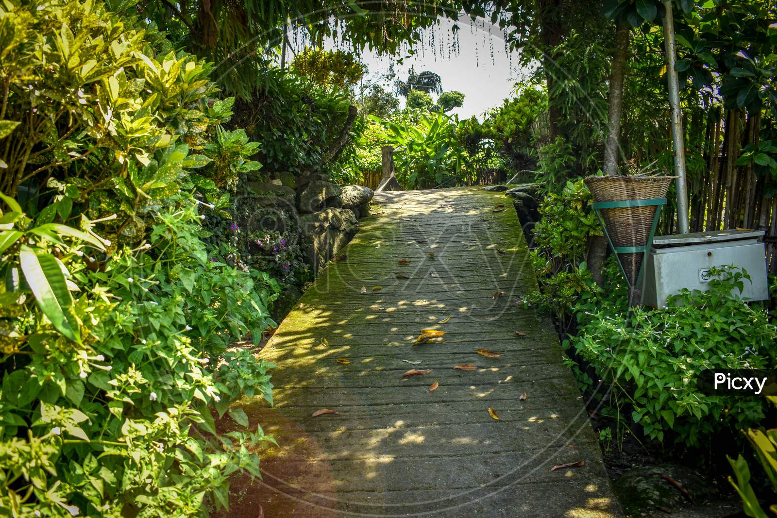 walkway at Mawlynnong - Cleanest village in Asia