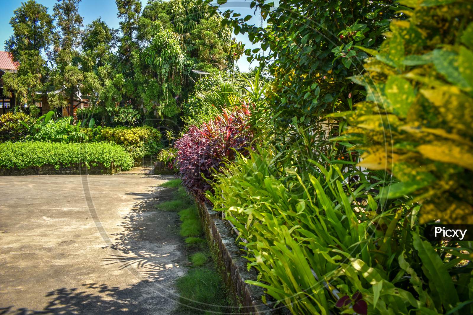 Garden of Mawlynnong - Cleanest village of Asia
