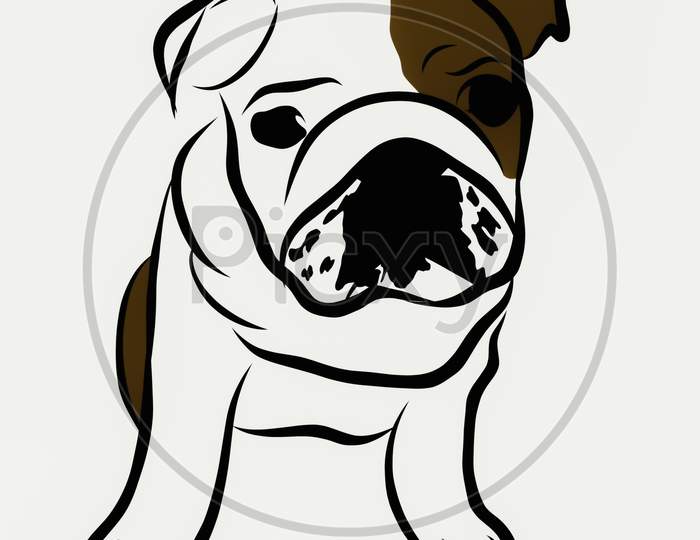 Beautiful Illustration Drawing Of Dog With White Background