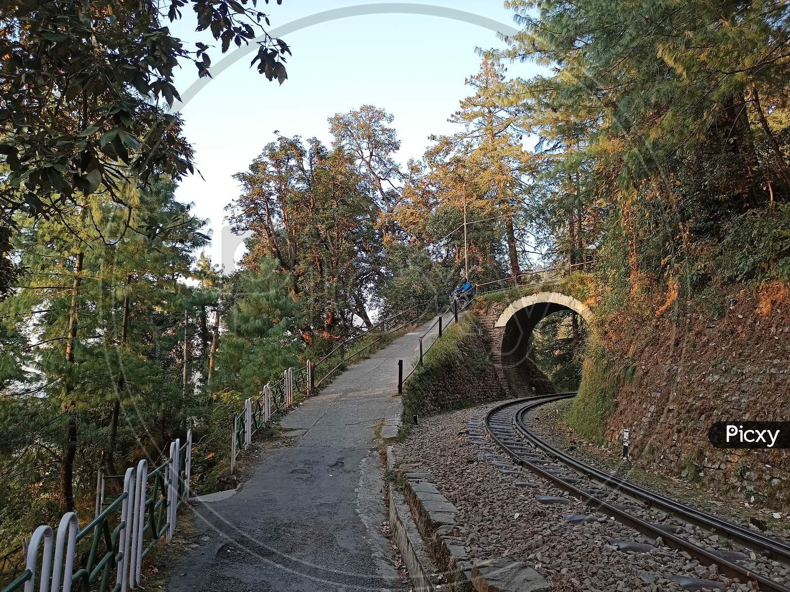 Heritage railway track Kalka Shimla