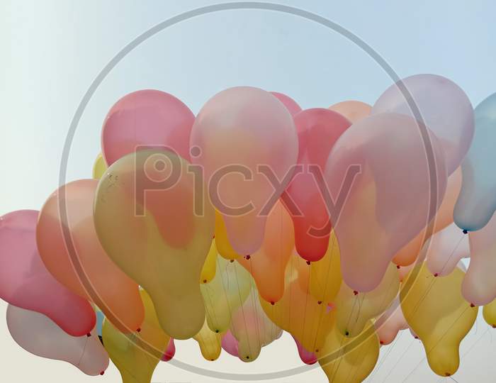 Colorful Balloon Stock With Gas On The Sky