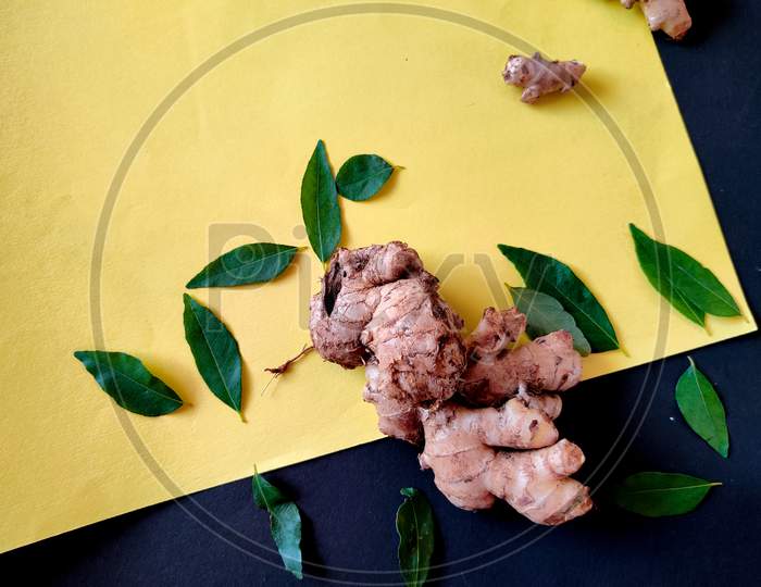 One Large Piece Of Ginger Surrounded With Curry Leaves On A Yellow Background. Selective Focus